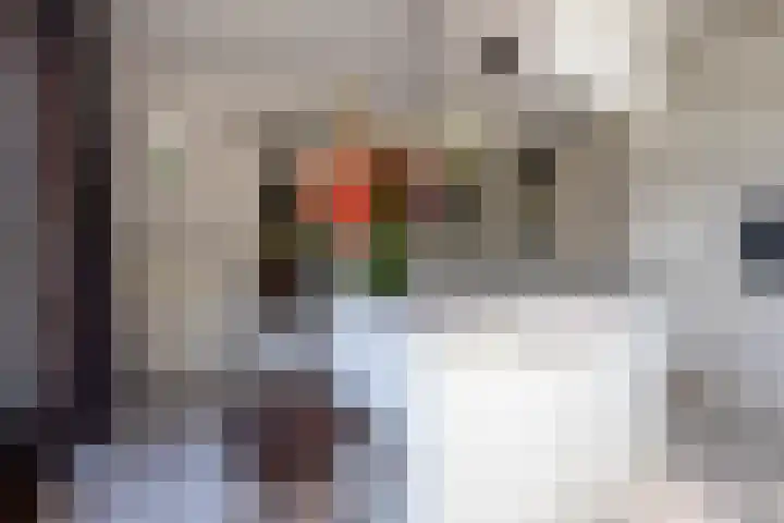 Hortensialaan 1 Beverwijk thumbnail 20