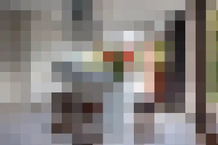 Hortensialaan 1 Beverwijk thumbnail 24