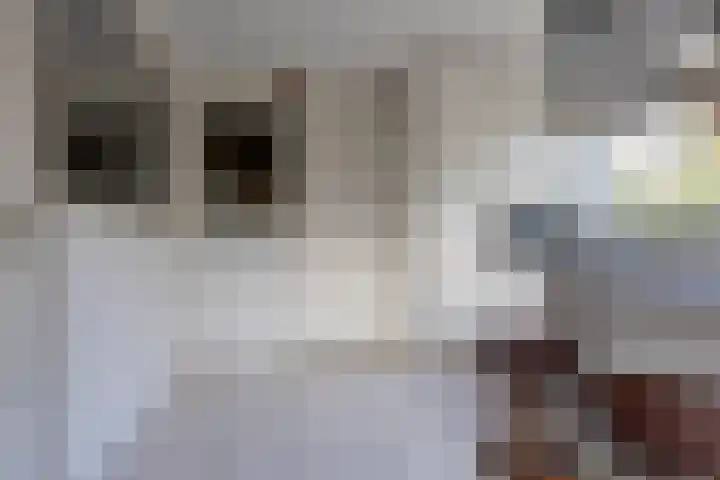 Hortensialaan 1 Beverwijk thumbnail 25