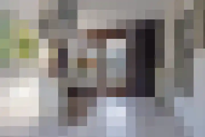 Hortensialaan 1 Beverwijk thumbnail 26