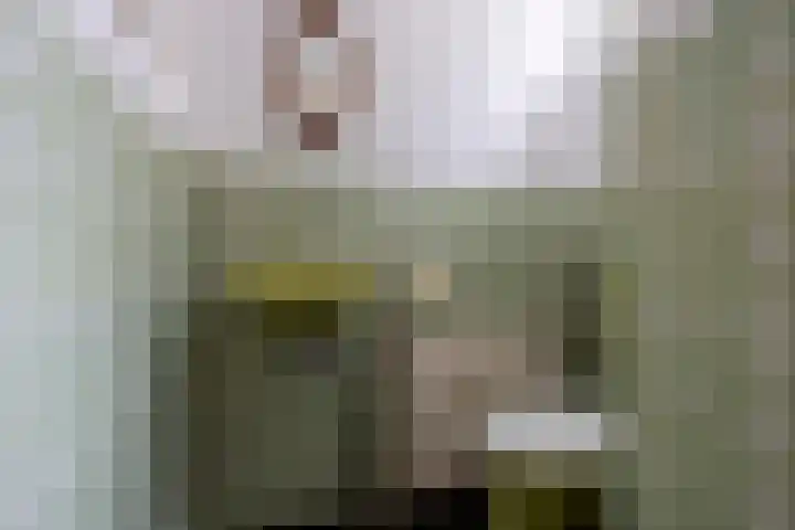 Hortensialaan 1 Beverwijk thumbnail 27