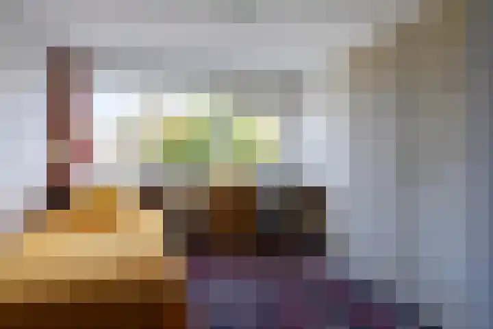 Hortensialaan 1 Beverwijk thumbnail 33