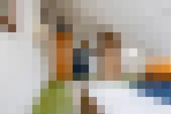 Hortensialaan 1 Beverwijk thumbnail 35
