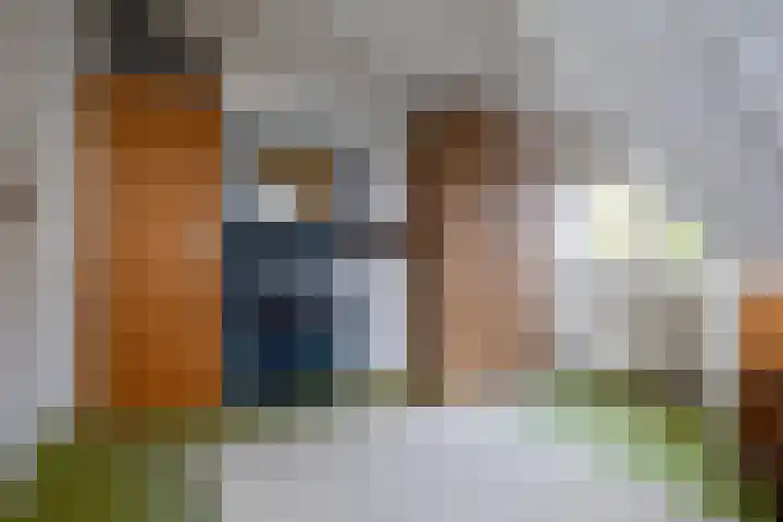 Hortensialaan 1 Beverwijk thumbnail 36