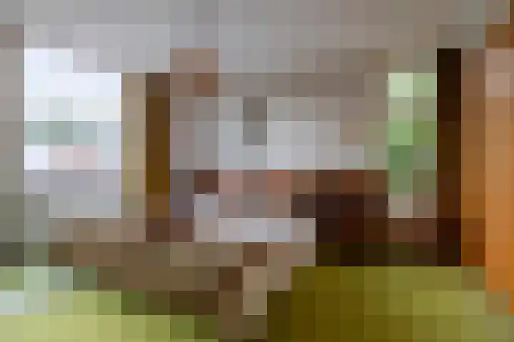 Hortensialaan 1 Beverwijk thumbnail 44