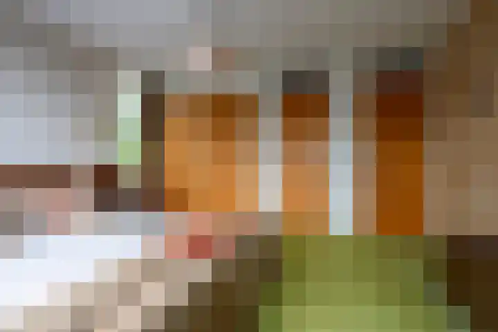 Hortensialaan 1 Beverwijk thumbnail 46