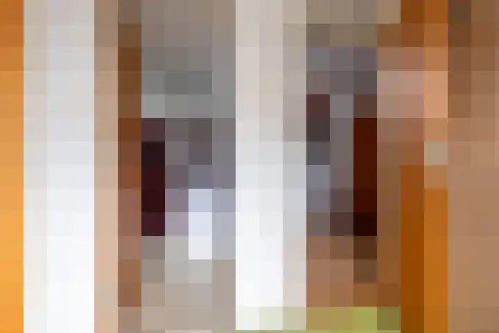 Hortensialaan 1 Beverwijk thumbnail 47