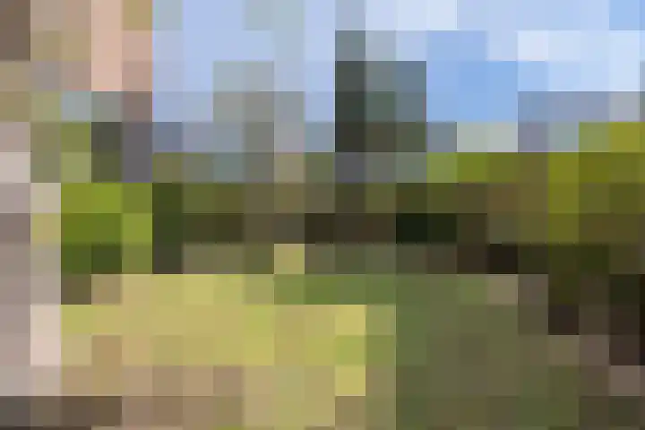 Hortensialaan 1 Beverwijk thumbnail 65