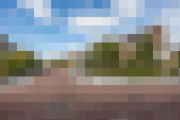 Hortensialaan 1 Beverwijk thumbnail 68
