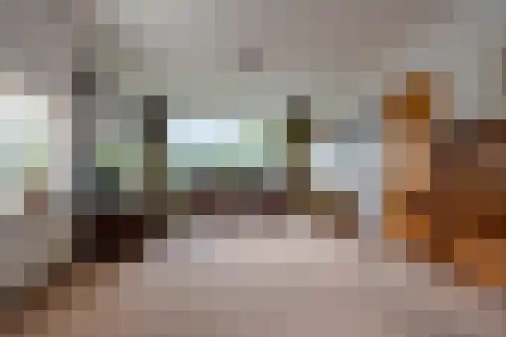 Hortensialaan 1 Beverwijk thumbnail 7