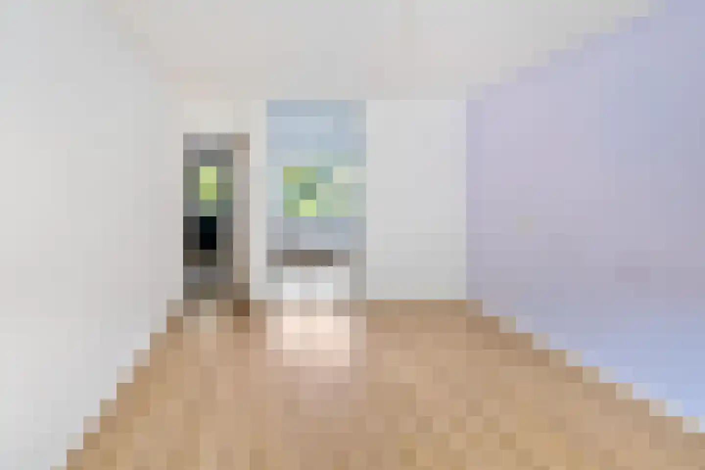 Hortensialaan 10 Groningen thumbnail 7