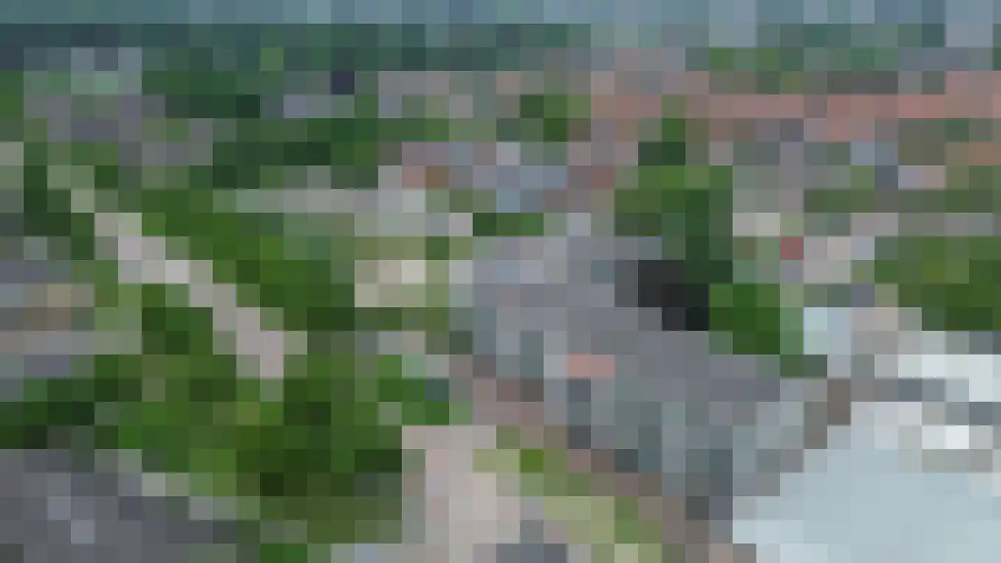 Hortensialaan 10 I Winterswijk thumbnail 33