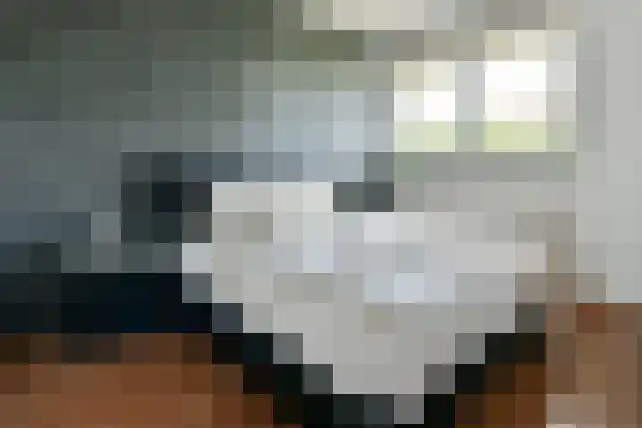 Hortensialaan 103 De Kwakel thumbnail 11