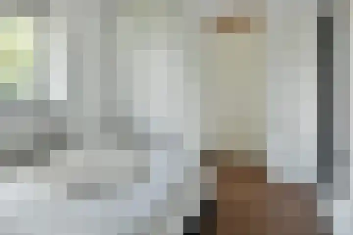 Hortensialaan 103 De Kwakel thumbnail 12