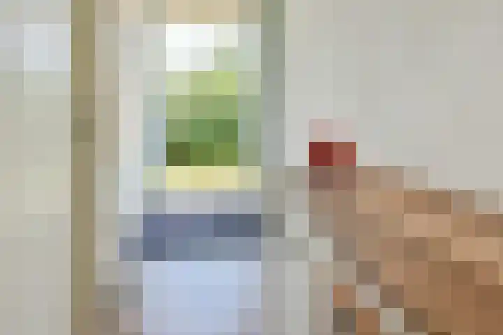 Hortensialaan 103 De Kwakel thumbnail 16