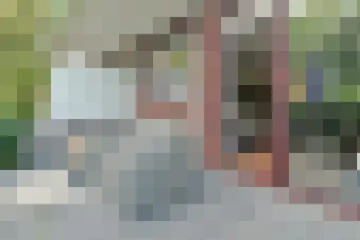Hortensialaan 103 De Kwakel thumbnail 17