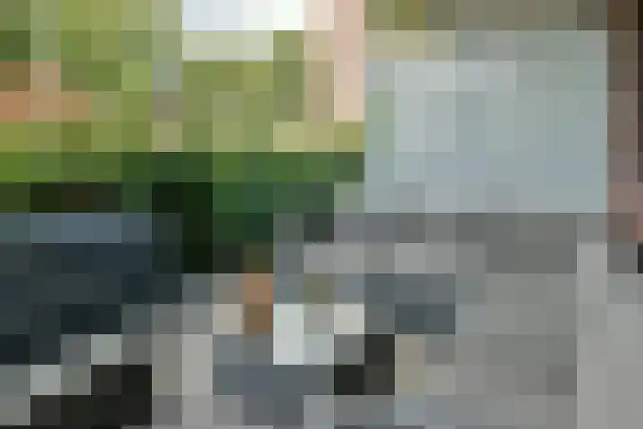 Hortensialaan 103 De Kwakel thumbnail 19