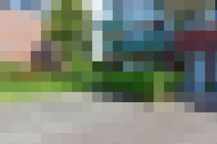 Hortensialaan 103 De Kwakel thumbnail 20