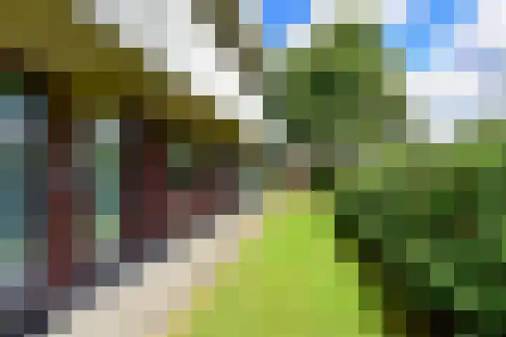 Hortensialaan 103 De Kwakel thumbnail 21