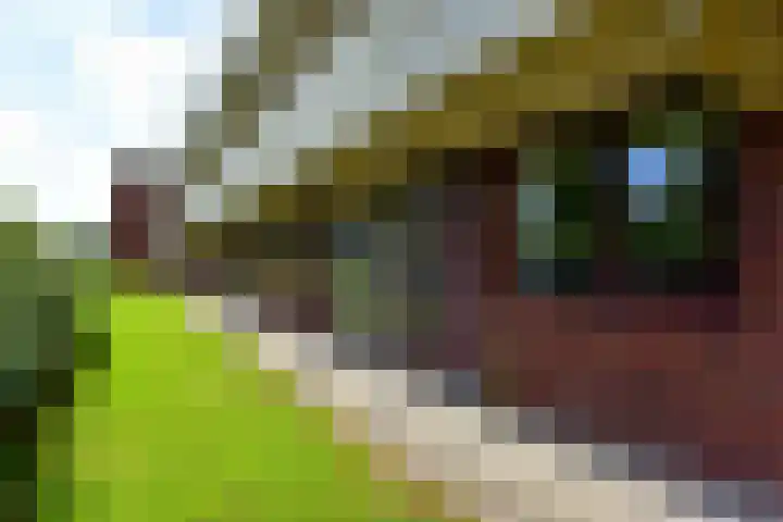 Hortensialaan 103 De Kwakel thumbnail 22