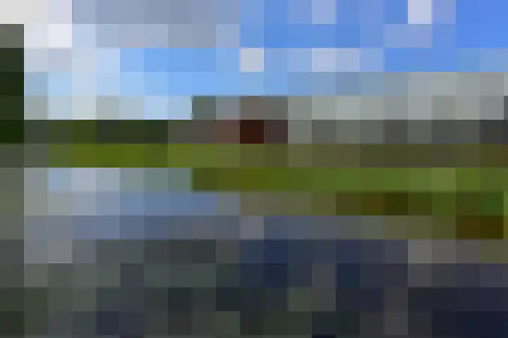 Hortensialaan 103 De Kwakel thumbnail 26