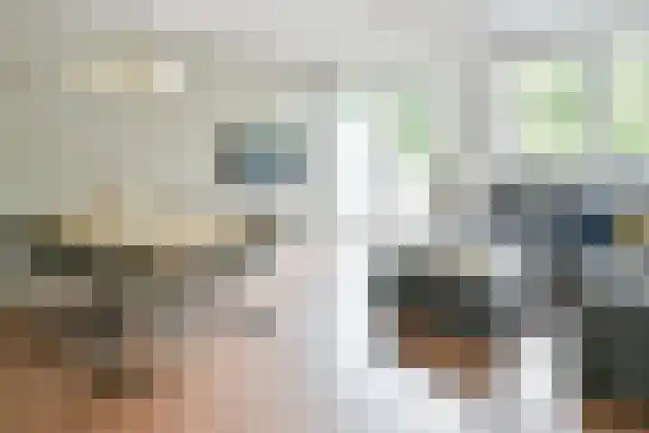 Hortensialaan 103 De Kwakel thumbnail 6