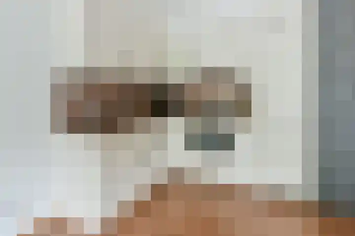 Hortensialaan 103 De Kwakel thumbnail 8