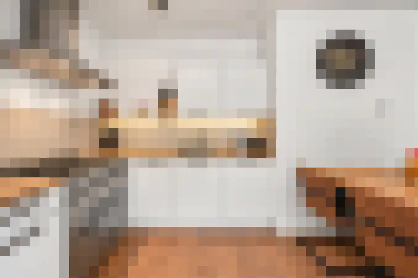 Hortensialaan 107 De Kwakel thumbnail 10