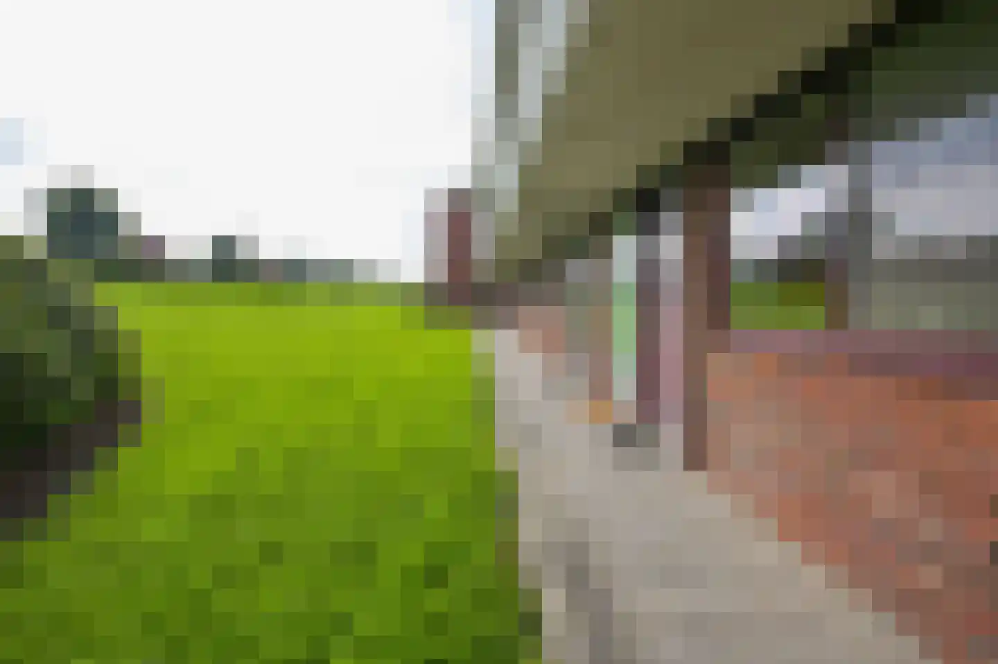 Hortensialaan 107 De Kwakel thumbnail 22
