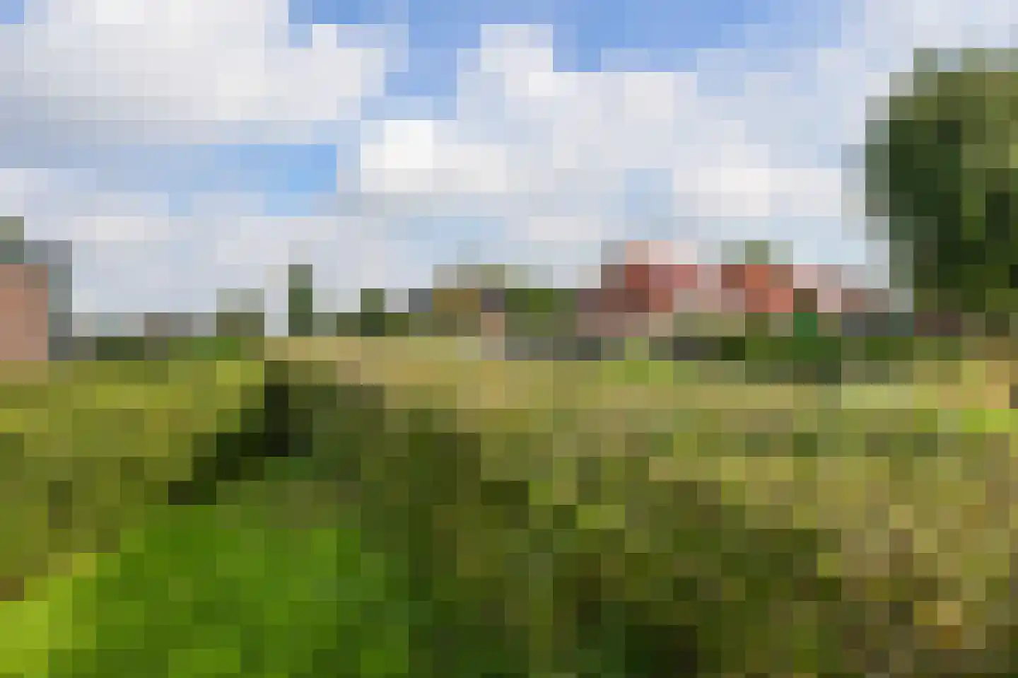 Hortensialaan 107 De Kwakel thumbnail 29