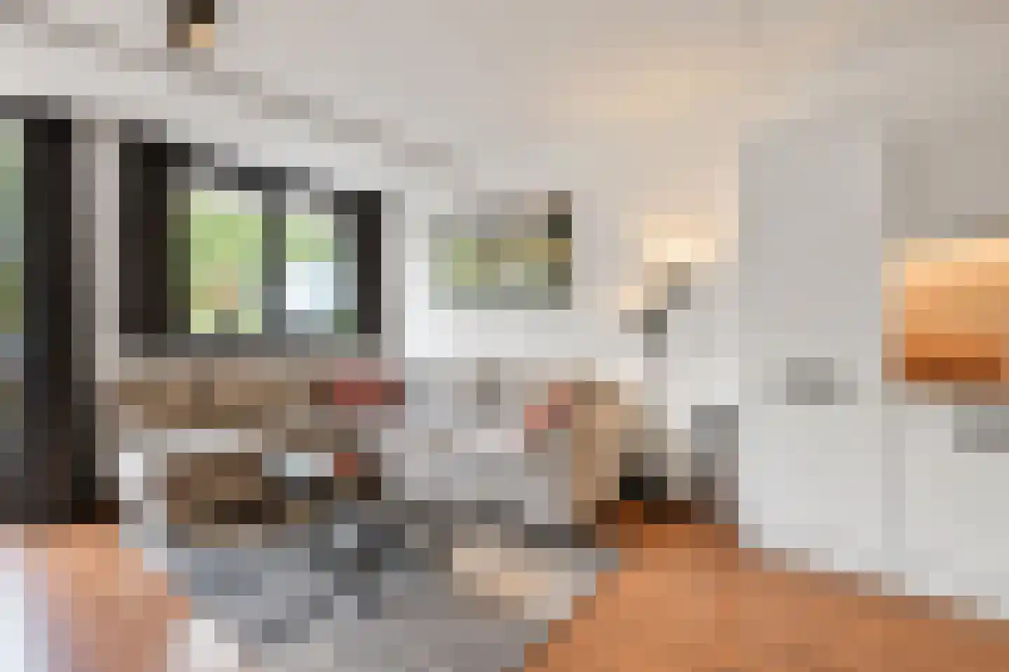 Hortensialaan 107 De Kwakel thumbnail 6