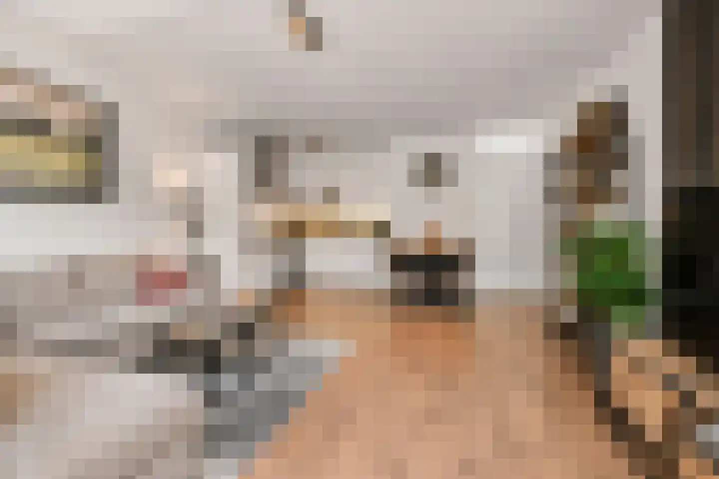 Hortensialaan 107 De Kwakel thumbnail 8