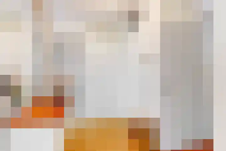 Hortensialaan 123 De Kwakel thumbnail 12