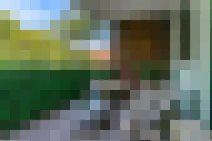 Hortensialaan 123 De Kwakel thumbnail 19