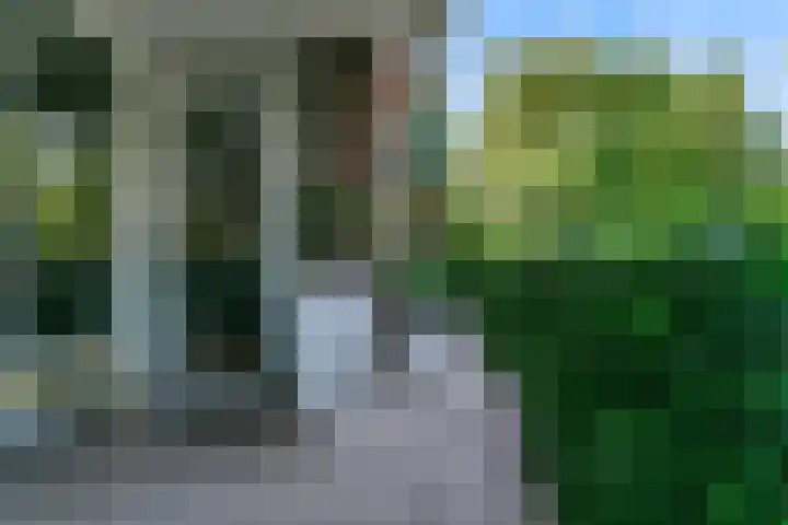 Hortensialaan 123 De Kwakel thumbnail 20
