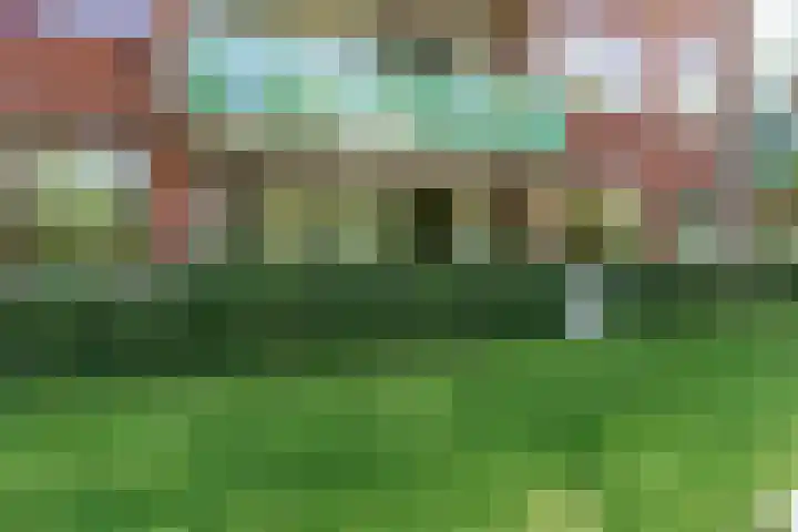 Hortensialaan 123 De Kwakel thumbnail 21