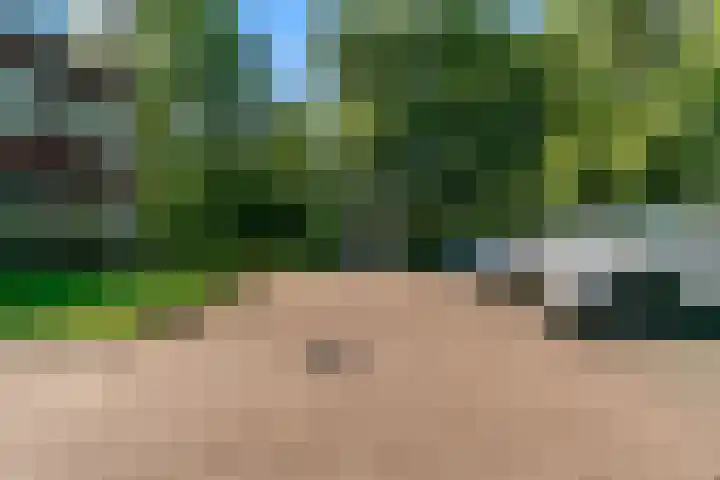 Hortensialaan 123 De Kwakel thumbnail 22