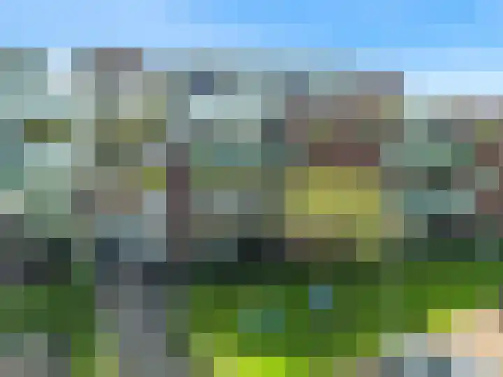 Hortensialaan 123 De Kwakel thumbnail 25