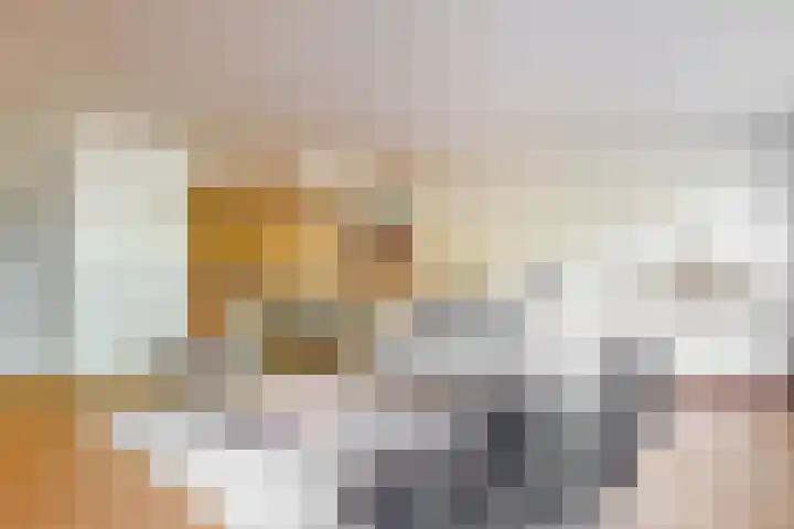 Hortensialaan 123 De Kwakel thumbnail 5