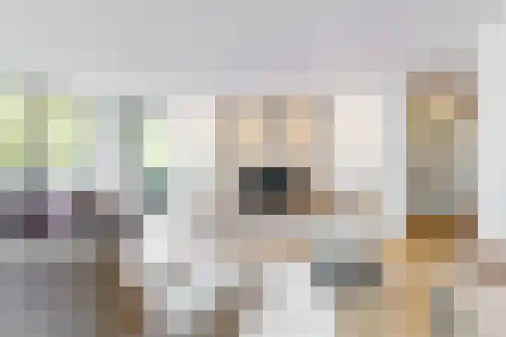 Hortensialaan 123 De Kwakel thumbnail 7