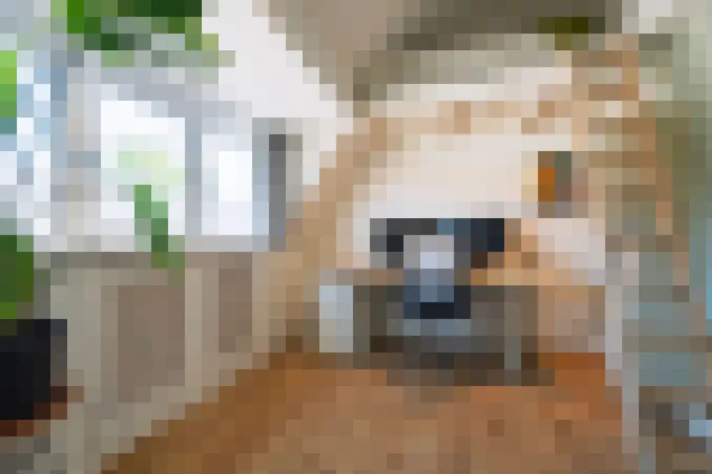 Hortensialaan 14 Zeist thumbnail 15