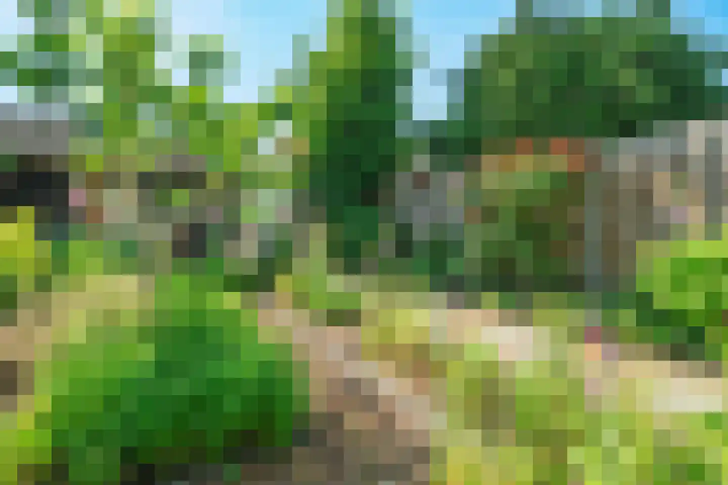Hortensialaan 14 Zeist thumbnail 23