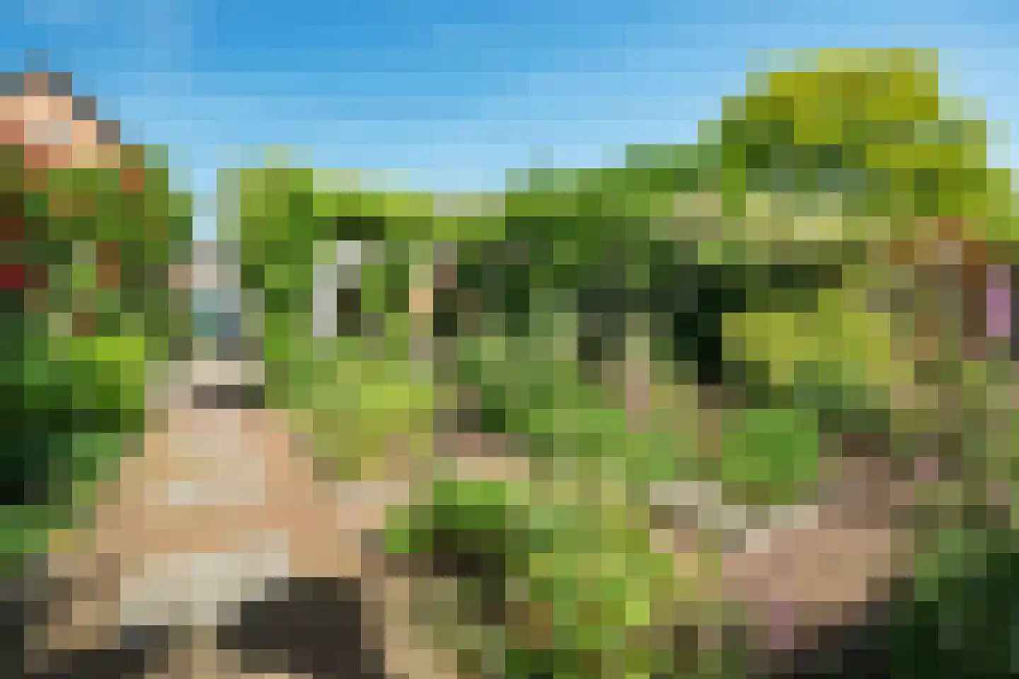 Hortensialaan 14 Zeist thumbnail 25