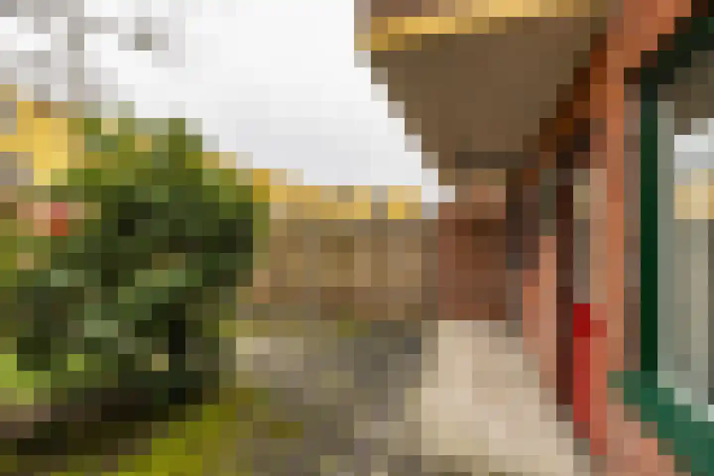 Hortensialaan 15 Groningen thumbnail 21