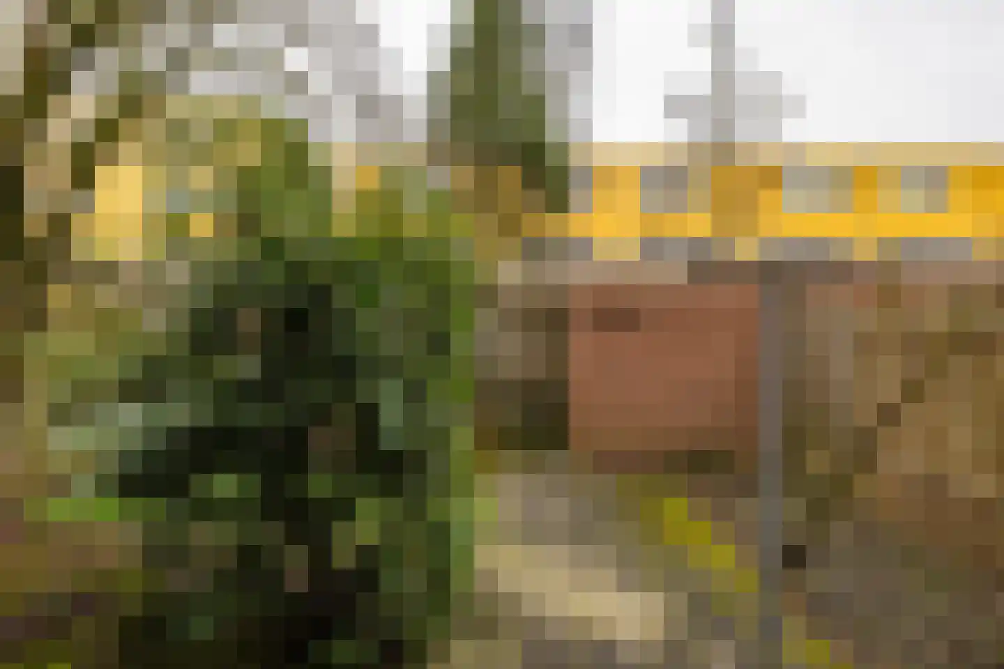 Hortensialaan 15 Groningen thumbnail 22
