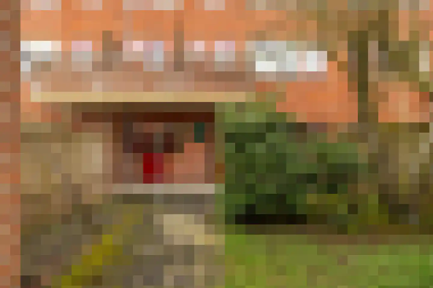 Hortensialaan 15 Groningen thumbnail 23