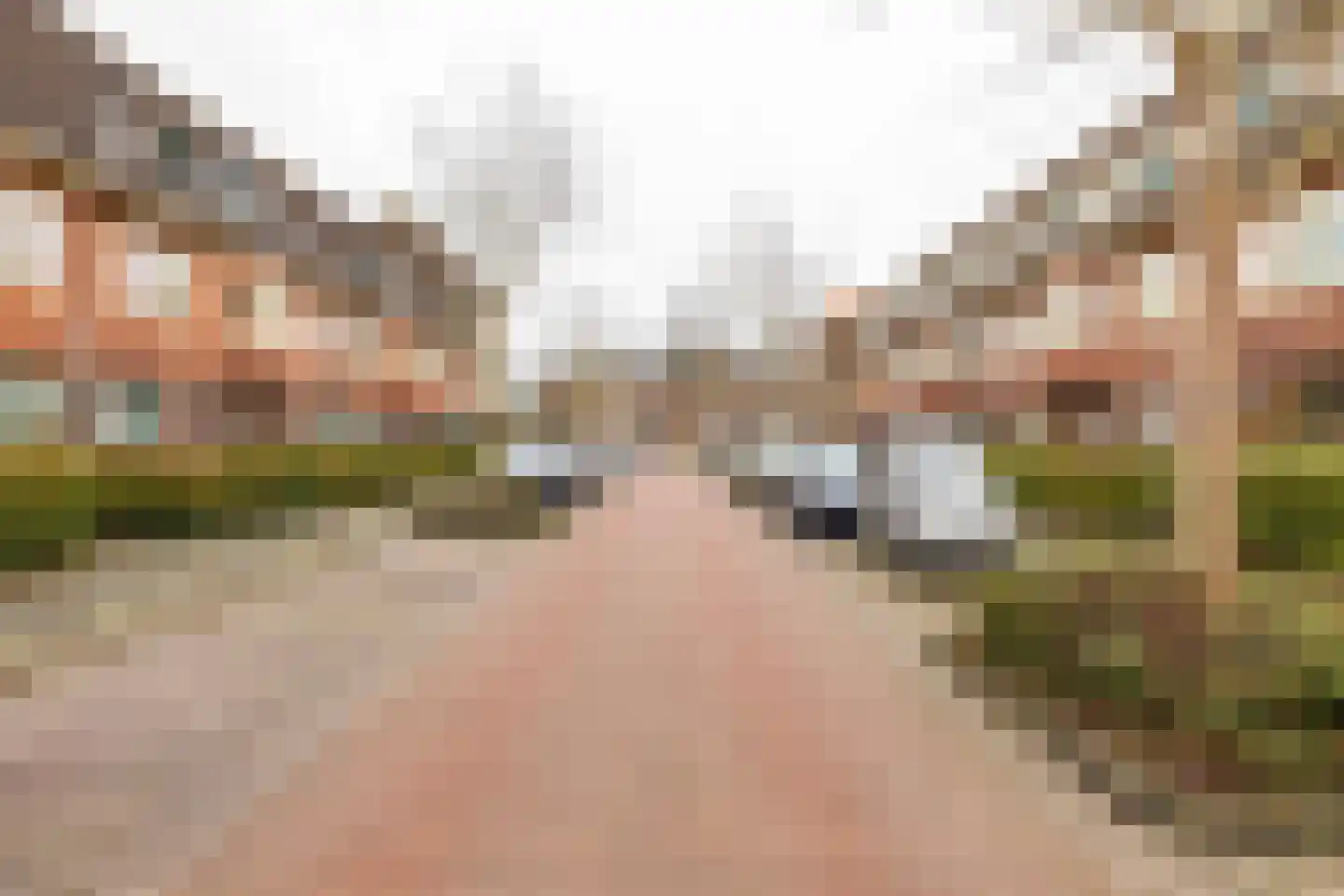 Hortensialaan 15 Groningen thumbnail 27