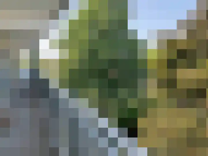 Hortensialaan 16 III Winterswijk thumbnail 4