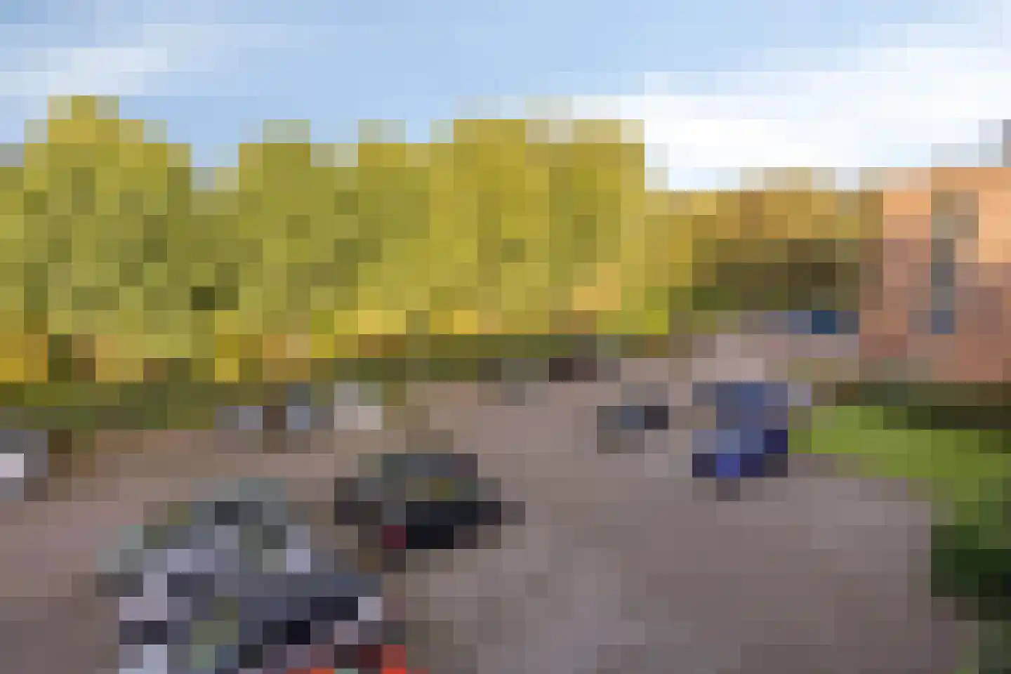 Hortensialaan 169 De Kwakel thumbnail 22