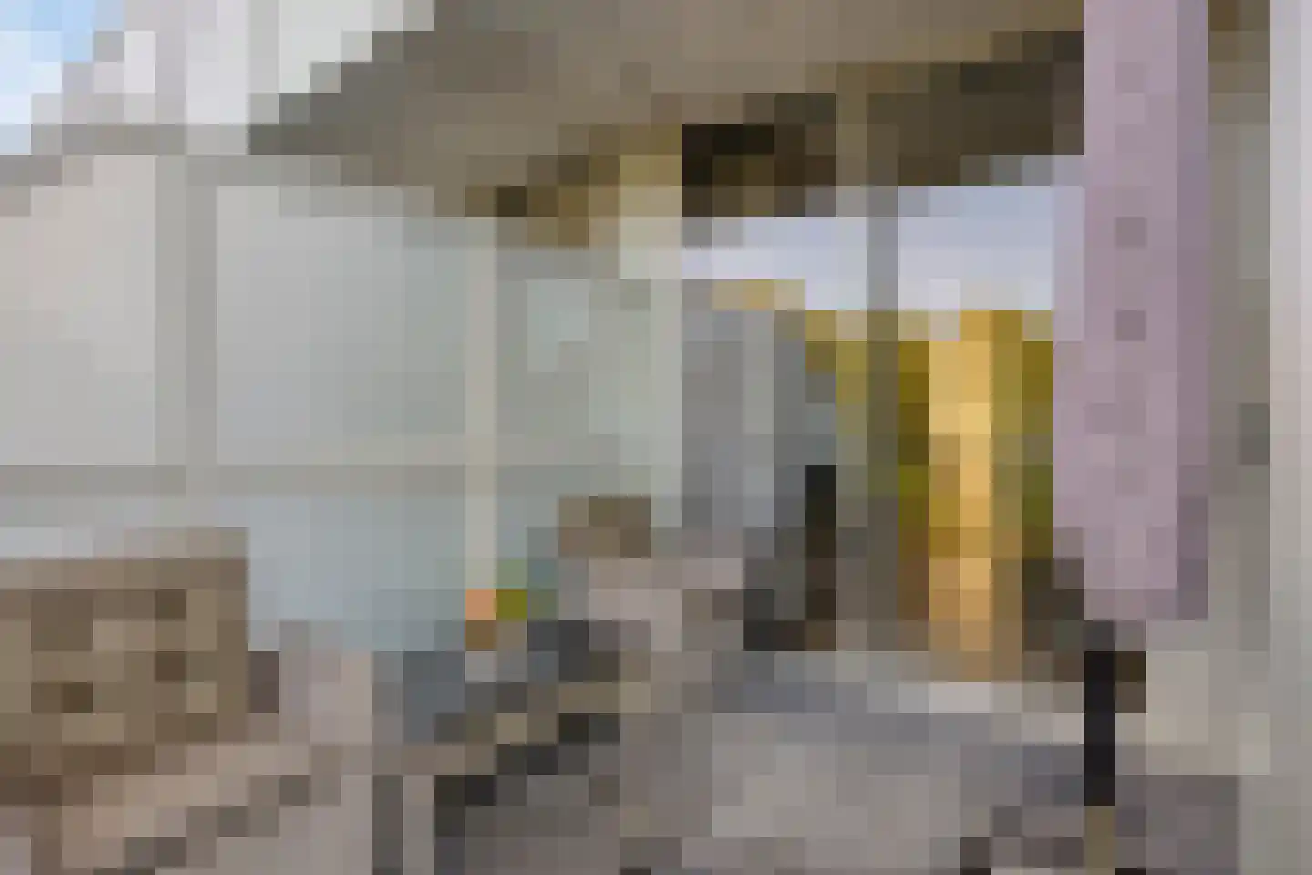 Hortensialaan 169 De Kwakel thumbnail 4